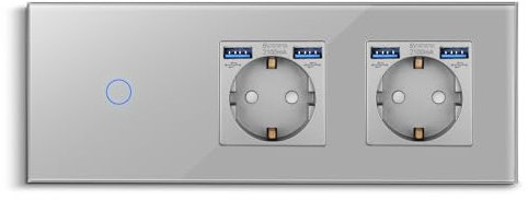CNBINGO Interrupteur Tactile Avec Double Prise USB-A 2,1 A - Prise Schuko USB Encastrée - Interrupteur Mural en Verre Simple Gris Avec LED d'État