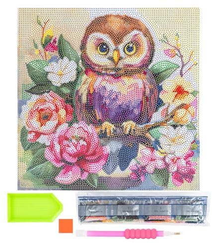 Ideen mit Herz Diamond-Painting-motivduk på kilram | 30 cm x 30 cm | Set inkl. verktyg (uggla med blommor)