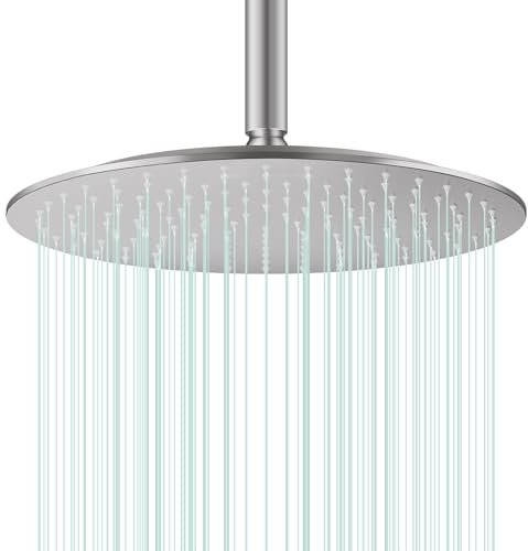 Docce Fisso Rotondo Soffione Doccia a Pioggia in Acciaio Inox Soffione Doccia a Pioggia con Getti In Silicone Anticalcare 304 Acciaio Inox Ultra Sottile (Argento, 30 cm)