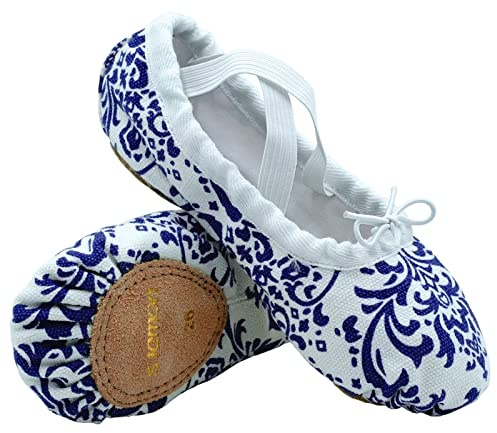 s.lemon Ballet Shoes for Girls,Canvas Ballet Slipper Dance Gymnastic Shoe Kid Adult Blue Flower 27 EU
