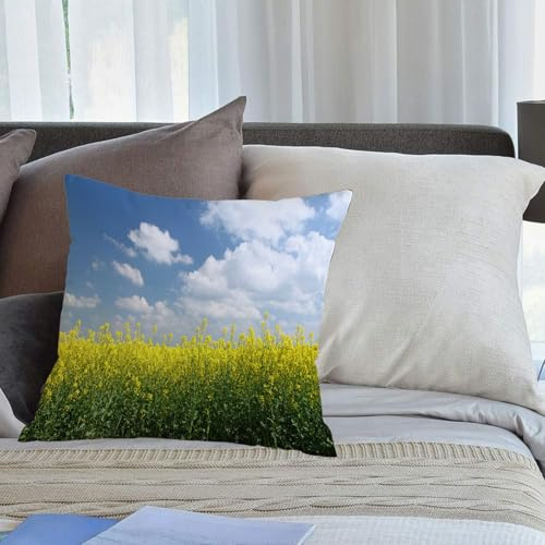 KHWEJ Cushion Covers Square Throw Pillow Case Printed Soft Pillowcases for Outdoor Patio Sofa Balcony Living Room,Blooming rapeseed field in front of blue sky Saxony Germany,20x20 in