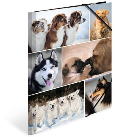 HERMA Sammelmappe A4 Hunde, Kinder Eckspanner-Mappe aus Pappe mit Tier Motiv, Gummizug, Innenklappen und Innendruck für Jungen und Mädchen