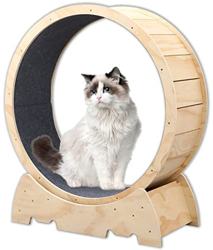 Ruota per esercizi per gatti da interni, in legno naturale, per tutti i gatti, dispositivo di perdita di peso, ruota da corsa per gatti