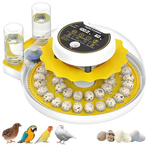 Quail Egg Incubator for Hatching 40 Quail Eggs with Automatic Turner and Humidity Control, Small Quail Brooder, Outdoor Poultry Egg Incubator, Suitable for Quail Parrot Canary and Other Bird