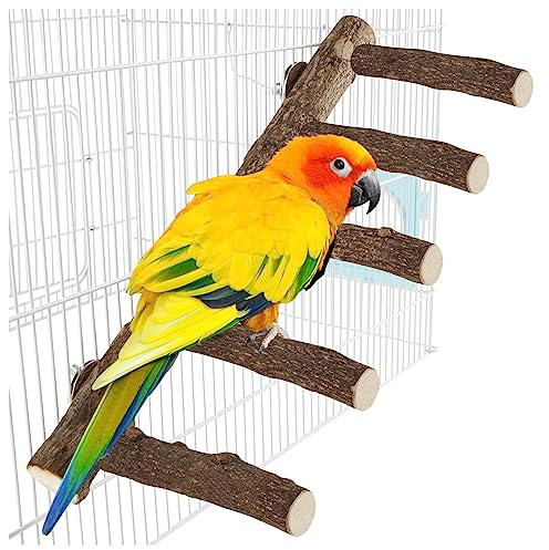 Parrot Wood Stand, Parrots Perch for Cage, Natural Bird Ladder for Small Medium Parrot, Parakeets, Cockatiels, Conures, Hamster(12.2 inch)