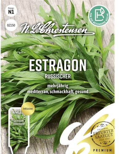 Estragon Russischer, mehrjährig, Samen