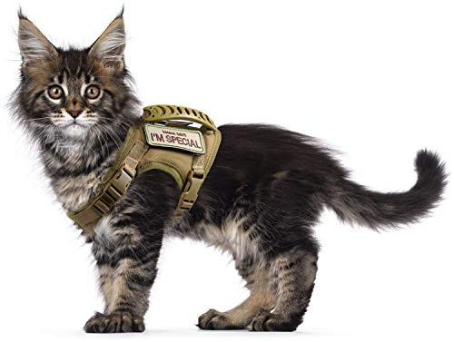 Arnés táctico para Gatos para Caminar a Prueba de Escapes, arnés de Chaleco Ajustable de Malla Suave para Gatos Grandes, Perros pequeños