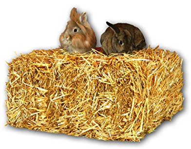 Stroh 15kg Heu-Scheune® Strohballen Einstreu Kaninchen Meerschweinchen Hase Deko