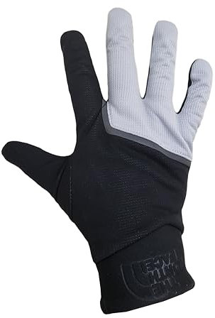 THE NORTH FACE Herren Etip Closefit Handschuh (Meld Grey, L)