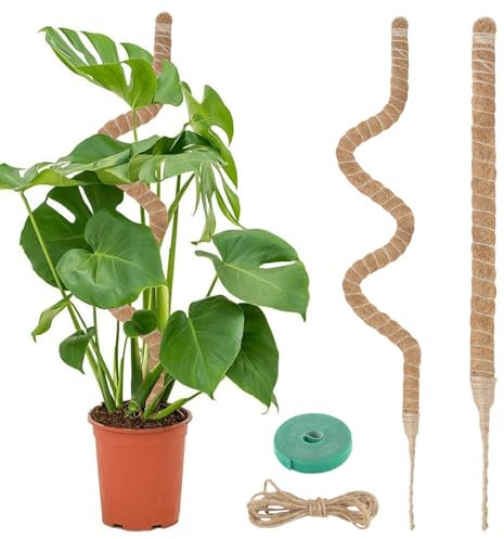 VFANDV Tuteur Plante, 120CM Support Plante Grimpante Tuteur Coco avec Twist 2 Meter pour Soutenir Les Plantes, pour Plante Jardin Domestique