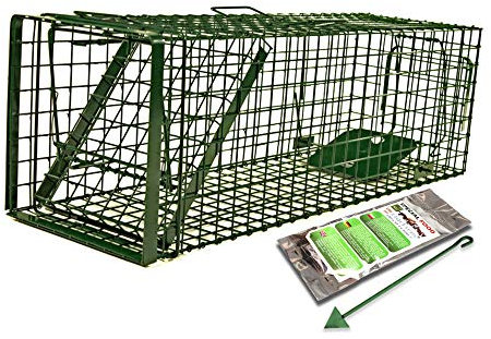 Holtaz Fallen Hardy Grün 102x34x34 cm 1 Tür Marderfalle Katzenfalle Fuchsfalle Biberfalle Tierfalle Kastenfalle Drahtfalle Waschbärfalle Mit Extra Köder