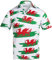 Royal & Awesome Y Ddraig Goch Men's Golf Polo Shirts, Welsh Flag Golf Tops, Men's Shirts, Polo Shirts for Men, Crazy and Funny Design, Large