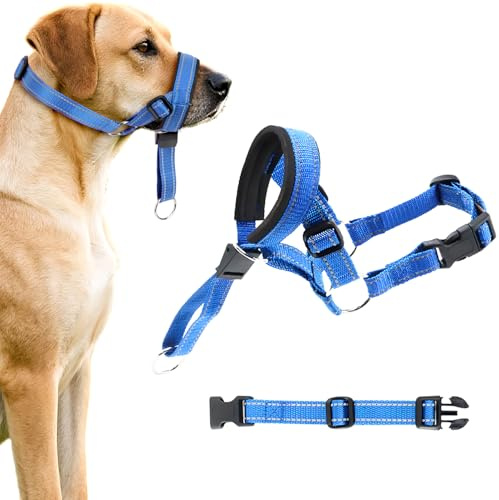MOTIBACK Dual Use Anti-Pull & Anti-Bite Dog Headcollar with Safety Leash, Adjustable Padded Head Halter for Small to Extra Large Dogs, Training Harness for Walking and Behaviour Control, Blue（L）