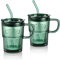 Joeyan 2er set 450ml Glas Trinkbecher mit Deckel und Strohhalm, Grün Trinkgläser mit Henkel für Eiskaffee,Milchshakes,Säfte,Smoothies,Getränke,Bier, Spülmaschinenfest Glasbecher, Auslaufsicheres