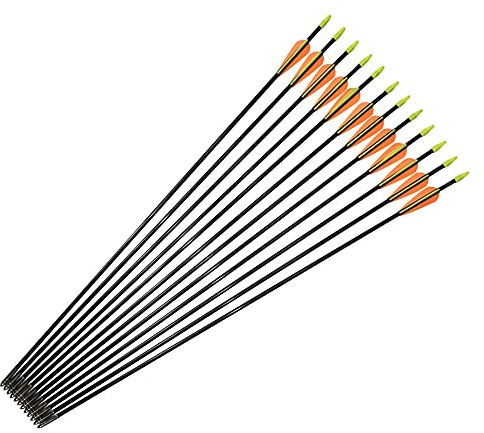 Fiberglass Arrows Archery 26 Inch Target Shooting Practice Safetyglass Recurve Bows Suitable for Youth Children Woman Beginner 6 PCS