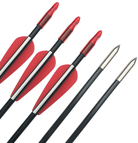 SHARROW 12pcs Flechas de Fibra de Vidrio de Tiro con Arco de 31 Pulgadas Flecha de Práctica Spine 900 para Arco Recurvo(Rojo)