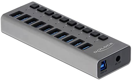 Delock Externer SuperSpeed USB Hub mit 10 Ports + Schalter, 63670
