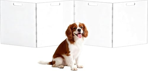 Barriera di Sicurezza per Cani in Acrilico, Cancelletto Pieghevole Autoportante, Griglia Protettiva Trasparente per Cuccioli e Animali Domestici (240 x 60 cm)