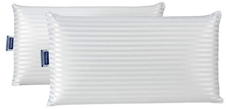 Todocama - Almohada viscoelástica, antiácaros y antibacterias. Tejido Platinium Suave, Fresco y Transpirable. Núcleo termorregulable, Doble Funda con Cremallera Lavable. (Pack 2 unidades de 70cm).