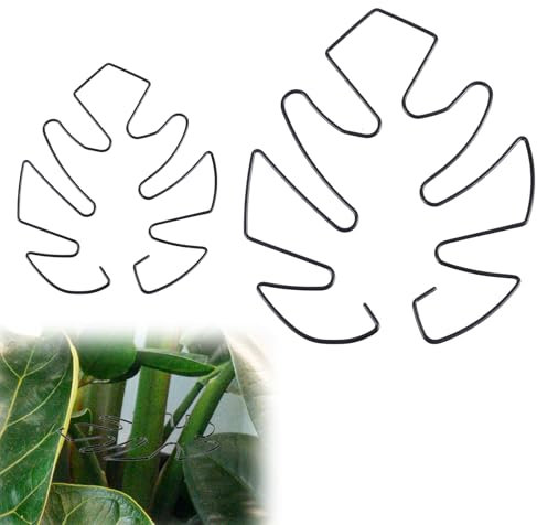 BOXOB 2uds Soporte para Plantas, 2 Tamaños Ganchos de Soporte para Tallos de Plantas Trepadoras Ideal Soporte Estabilizador de Monstera para un Crecimiento Próspero de Las Plantas (Negro)