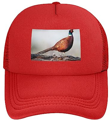 Casquette ajustée en maille imprimée de faisan rouge - Chapeau de sport - Chapeau de tennis d'entraînement réglable pour adulte - Casquette de camionneur en maille - Casquette de baseball unisexe -