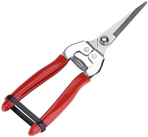DIIDIIFF Podadora Manual de jardinería Tijeras de jardín Tijeras de podar Tijeras de podar con micropunta Recortadora de Hojas Tijeras de floristería Rectas para Plantas Tijeras
