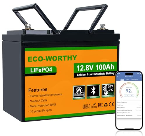 ECO-WORTHY 12 V 100 Ah LiFePO4 Bluetooth med BMS lågtemperaturskydd, 1 280 kWh litiumbatteri 12 V 100 Ah bilbatteri för husbil, husvagn, husbil