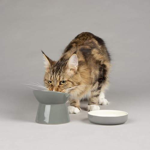 Scruffs Classic Stoneware/Ceramic Raised Cat Feeder Bowl & Saucer Set - Grey