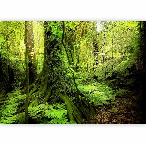 murando Photo Wallpaper Forest 350x256 cm Non-Woven Premium Art Print | Fleece Wall Mural Decoration Poster Picture Design Modern Forest Trees Nature