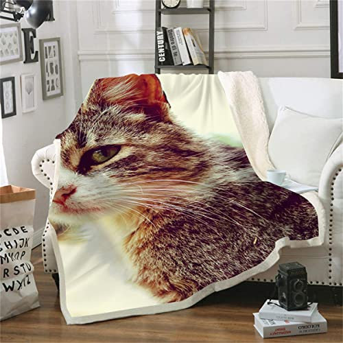 Bedruckte Kratzdecke mit Katzen-Motiv, luxuriöse flauschige Decken für Sofas, Stühle und Betten (180 x 220 cm), 3D-Druckdecke