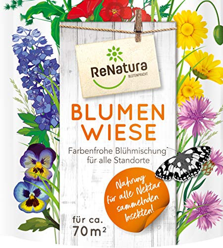 ReNatura® Blumenwiese Wiesenblumen und -kräutern für alle Standorte mehrjährig 0,5kg für ca 70 m²
