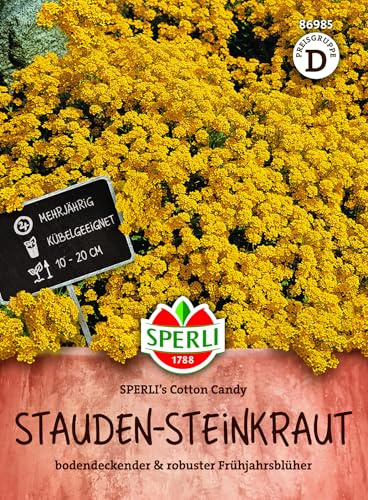 SPERLI Stauden-Steinkrautsamen SPERLI's Cotton Candy 86985 – mehrjähriges, winterhartes Steinkraut, duftend, 10–20 cm, trockenheitsresistent, für Steingarten, Böschung, Topf und Kübel, 1 Portion
