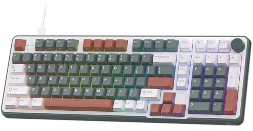 RK ROYAL KLUDGE C98 HE Clavier de jeu mécanique, interrupteur magnétique à effet hall, clavier RVB filaire remplaçable à chaud, déclencheur rapide, taux d'interrogation 8K, pilote Web professionnel