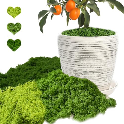Angozo Künstliches Moos Deko 150g Deko Moos KüNstlich Moos Deko Bastelmoos Kunstmoos zum Dekorieren Kunst Moos Fake Dekomoos Islandmoos für Übertöpfe Künstlicher Pflanzen, Aquarium (3 Farbe)