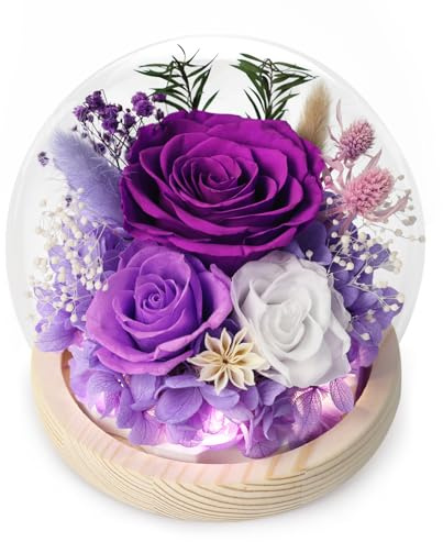 FIACO Gifts for Mom Mothers Day Women Birthday Preserved Flowers in Glass Dome Forever Fresh Flowers for Delivery Eternal Roses Gifts for Grandma Wife Daughter Friends