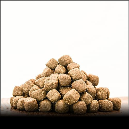 George & Bobs Anatra e salmone per adulti, 15 kg, senza cereali, 70% di carne, superfood, cibo secco, cozze verdi | per cani adulti