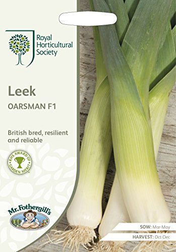 Mr Fothergills - Vegetable - RHS Leek Oarsman F1-50 Seeds