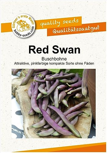 Bohnensamen Red Swan Buschbohne Portion