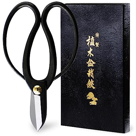 Wazakura Koryu Ikebana Floral Scissors 6.7 inches (170mm) Made in Japan - Japanese Flower Arranging Tools, Kado Hasami Shears - Black
