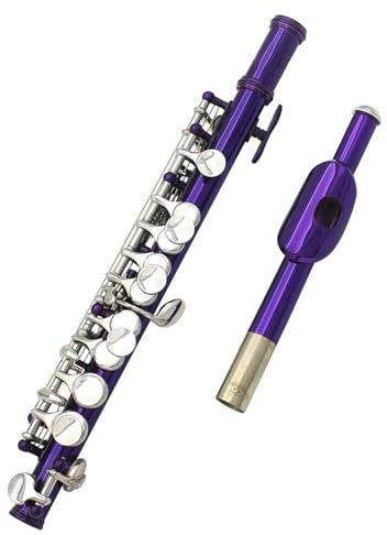 Lila Piccolo-Flöte Mit 16 Löchern Und E-Taste, Halbgroße Cupronickel-Flöte Mit Lederetui Querflöte für Anfänger