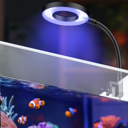 Pawfly Lampe LED d'aquarium d'eau salée 6W pour bacs de 3,8 à 11,4 L Éclairage Lampe LED à intensité variable pour aquarium Lampe USB mobile pour aquarium marin avec minuterie (adaptateur non inclus)