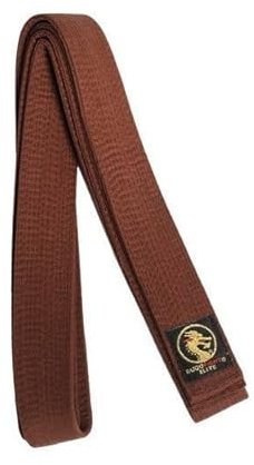 BUDOFIGHT Ceinture de karaté Marron Élite