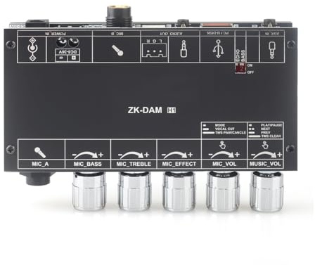 Ludom Effect Device ZK-Dam H1 with Wide Voltage Input (DC 8-36V) Dual Mic Inputs, Dynamic, TWS Pairing,USB/AUX/Bluetooth Input