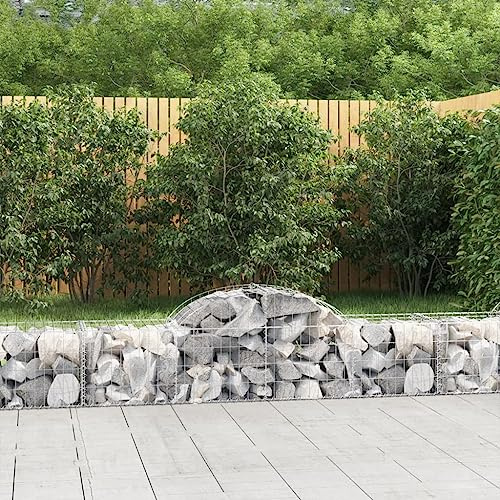 Lot de 5 parterres surélevés pour le jardin - Gabions avec arc surélevé - 200 x 50 x 40/60 cm - Fer galvanisé pour légumes, herbes et fleurs