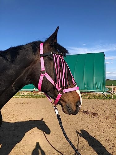 Cabestro para caballos con cuerda y flecos de mosca, cabestro con punto – Cabestro Pony Shetty Cabestro Cob Full Kb (Shetty, negro-rosa + rosa)