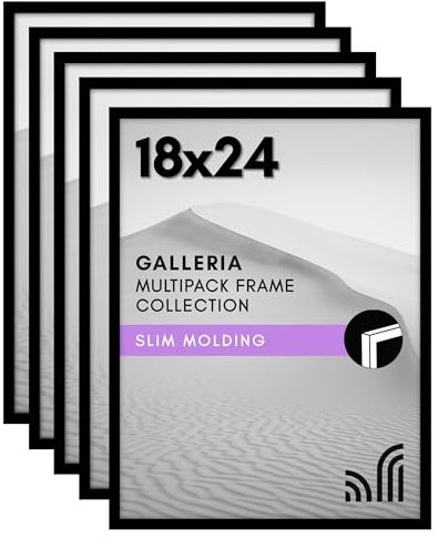 Americanflat 18x24 Poster Frame with Polished Plexiglass - Set of 5 - Galleria Collection - Picture Frames for Wall Display - Black