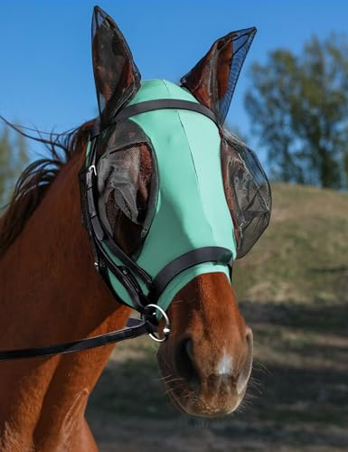 HackFond Masque anti-mouches avec oreilles, protection UV pour chevaux, élasticité avec grand couvre-yeux en maille, ajustement parfait, confortable, respirant, léger pour chevaux, doux cob menthe