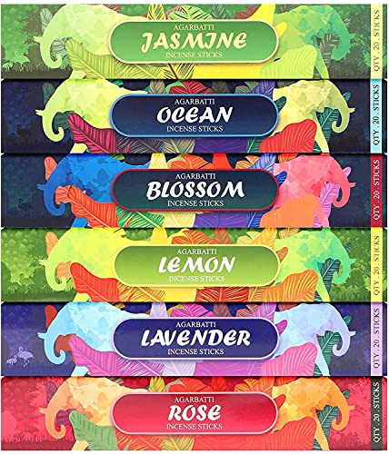 Lot de 6 boîtes 120 bâtonnets d'encens - Océan, Lavande, Jasmin, Rose, Citron et Fleur pour l'aromathérapie, la Relaxation, la méditation et Le Yoga