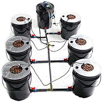 Deep Water Culture Hydroponic Hydrokultur Hydroponisches Anzuchtsystem Dwc Grow System Kit Indoor Anzucht Set Growing Hydroponisch Satz Mit 6KreisföRmiger Eimer Und 1Eimer FüR Wasseraustausch