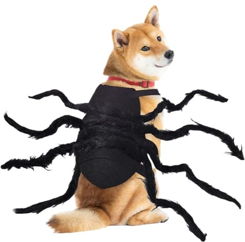 Qkbuza Disfraz de Halloween para Gato, Disfraz de araña de Halloween para Perros pequeños, Ropa Espeluznante para Vacaciones, Suministros para Mascotas, para Cachorros, Gatitos, Festivales